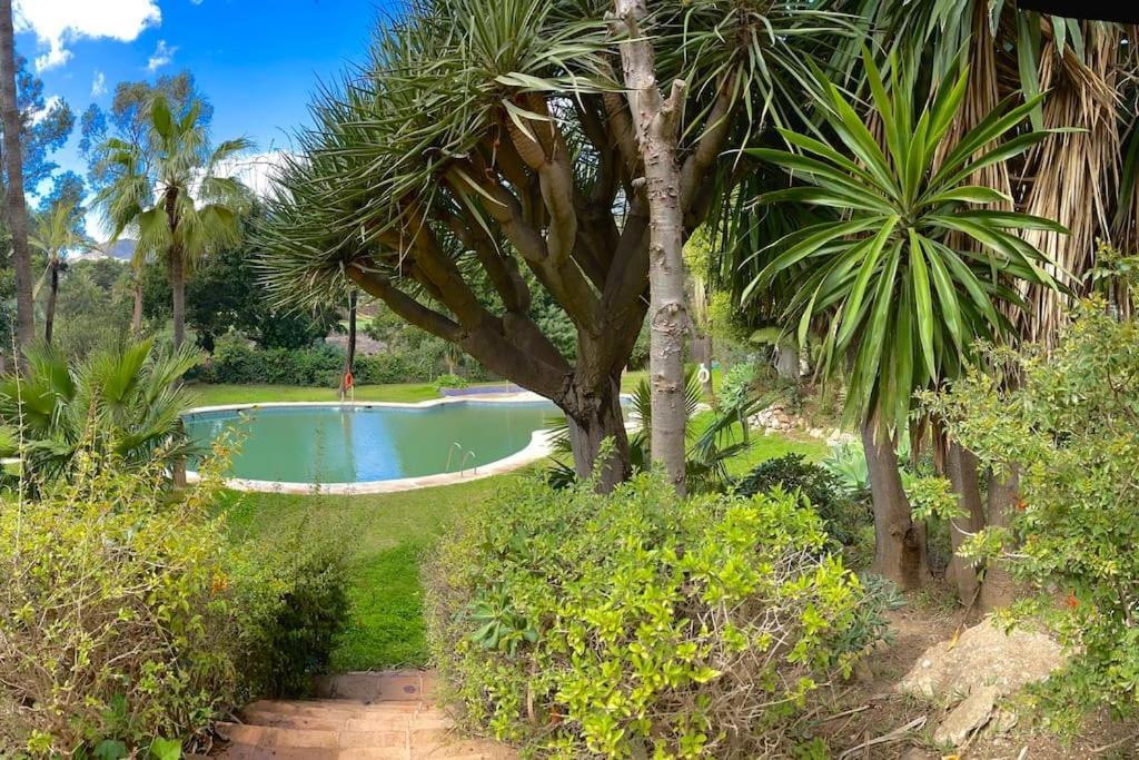 Ferienwohnung Klimatyczny Loft I Egzotyczny Basen Benalmádena Exterior foto