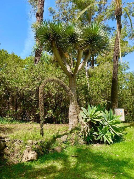 Ferienwohnung Klimatyczny Loft I Egzotyczny Basen Benalmádena Exterior foto