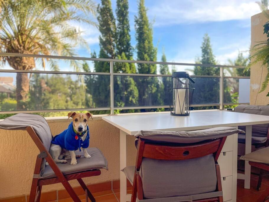 Ferienwohnung Klimatyczny Loft I Egzotyczny Basen Benalmádena Exterior foto