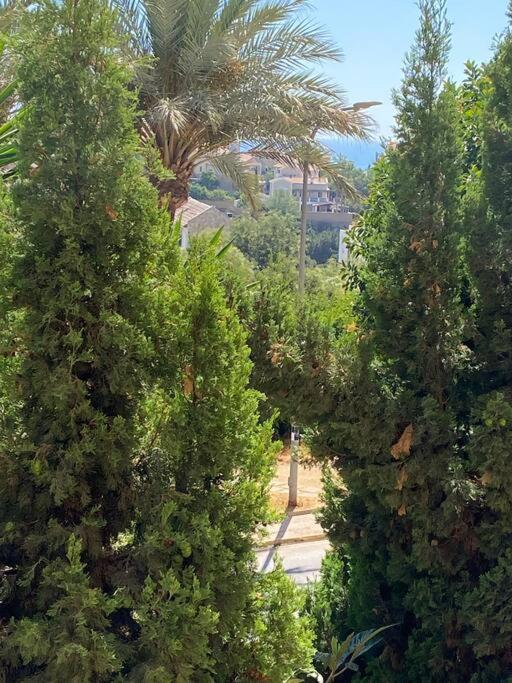 Ferienwohnung Klimatyczny Loft I Egzotyczny Basen Benalmádena Exterior foto