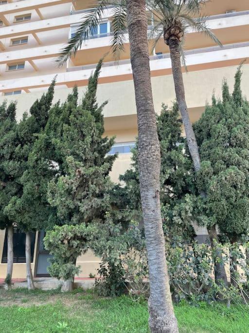 Ferienwohnung Klimatyczny Loft I Egzotyczny Basen Benalmádena Exterior foto