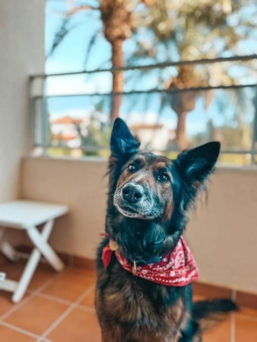 Ferienwohnung Klimatyczny Loft I Egzotyczny Basen Benalmádena Exterior foto