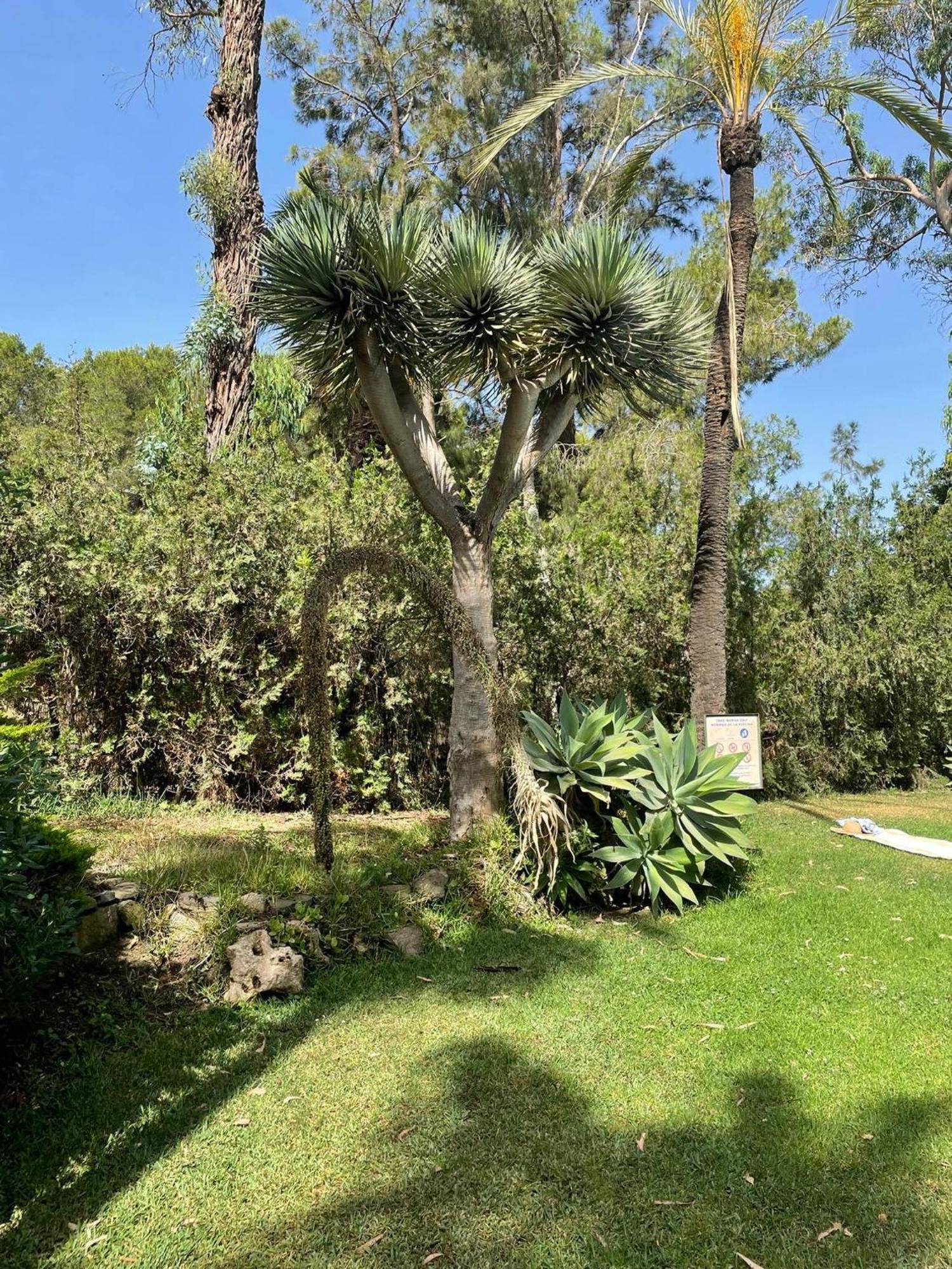 Ferienwohnung Klimatyczny Loft I Egzotyczny Basen Benalmádena Exterior foto